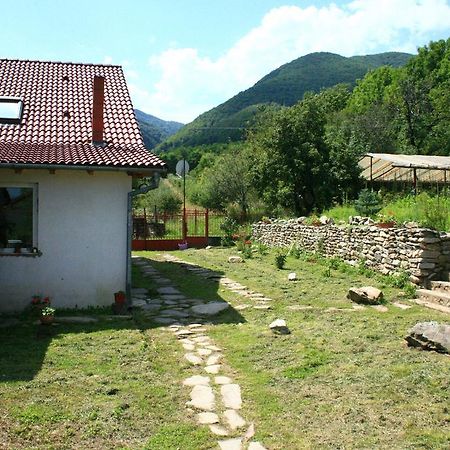 Cuibul Salamandrelor Ξενοδοχείο Sarmizegetusa Εξωτερικό φωτογραφία