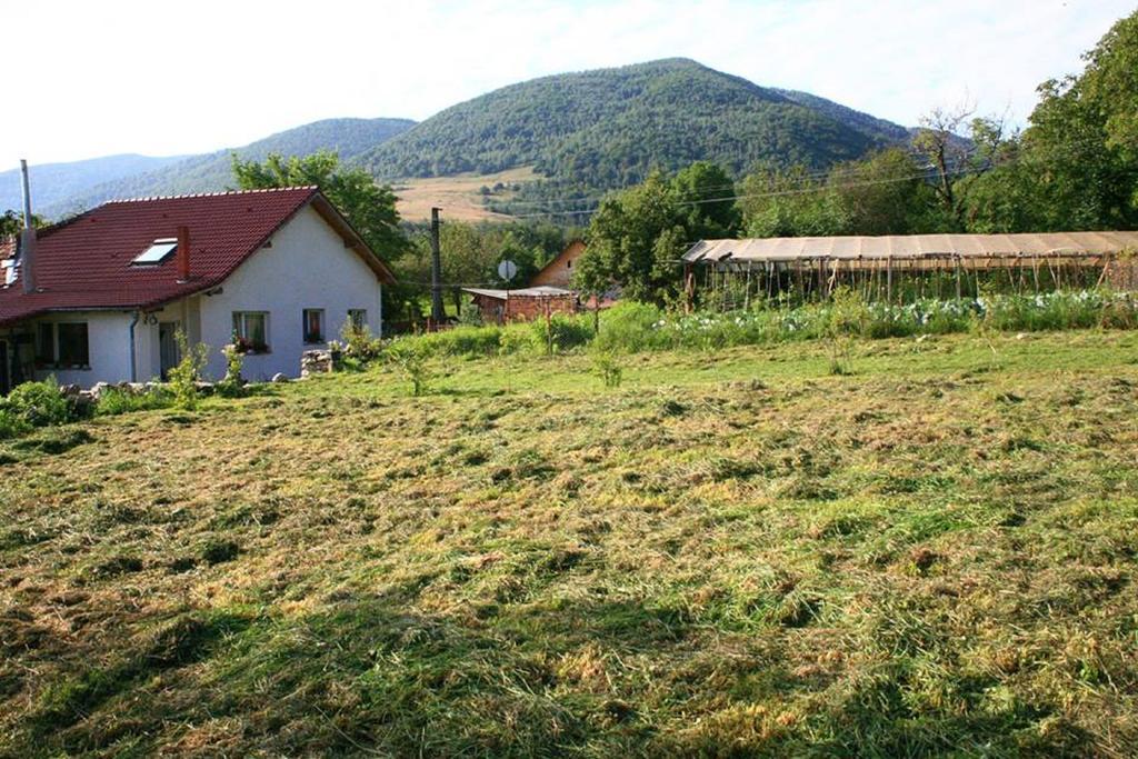 Cuibul Salamandrelor Ξενοδοχείο Sarmizegetusa Εξωτερικό φωτογραφία