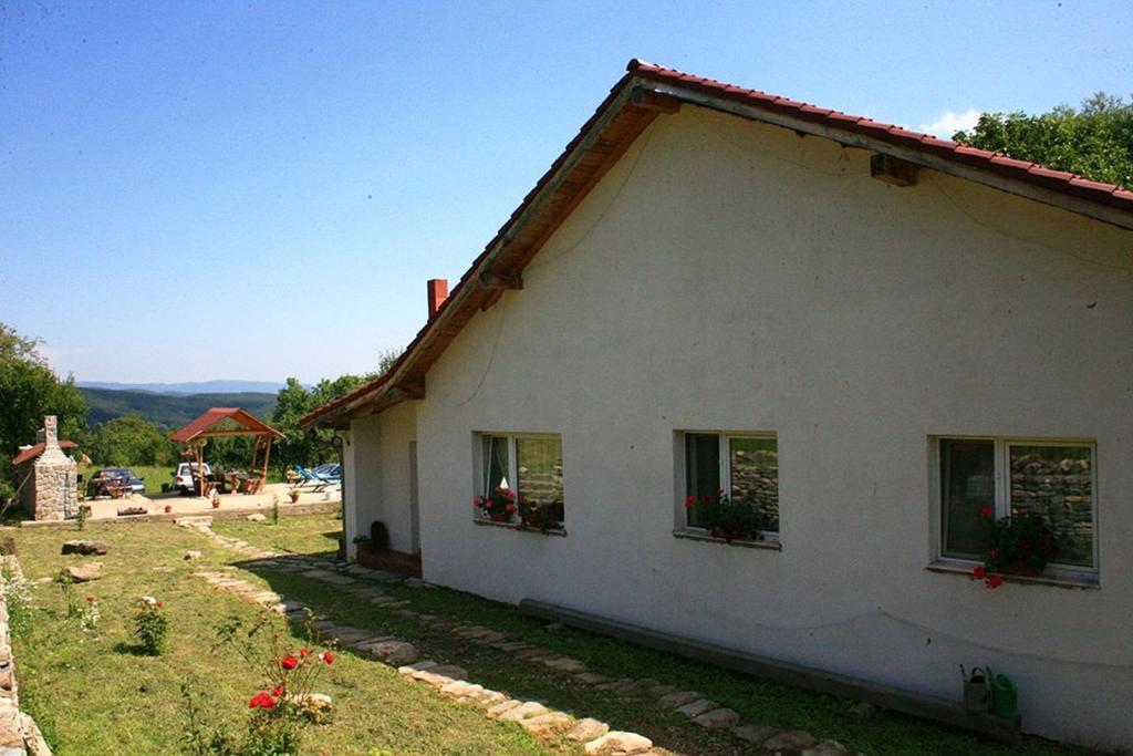 Cuibul Salamandrelor Ξενοδοχείο Sarmizegetusa Εξωτερικό φωτογραφία