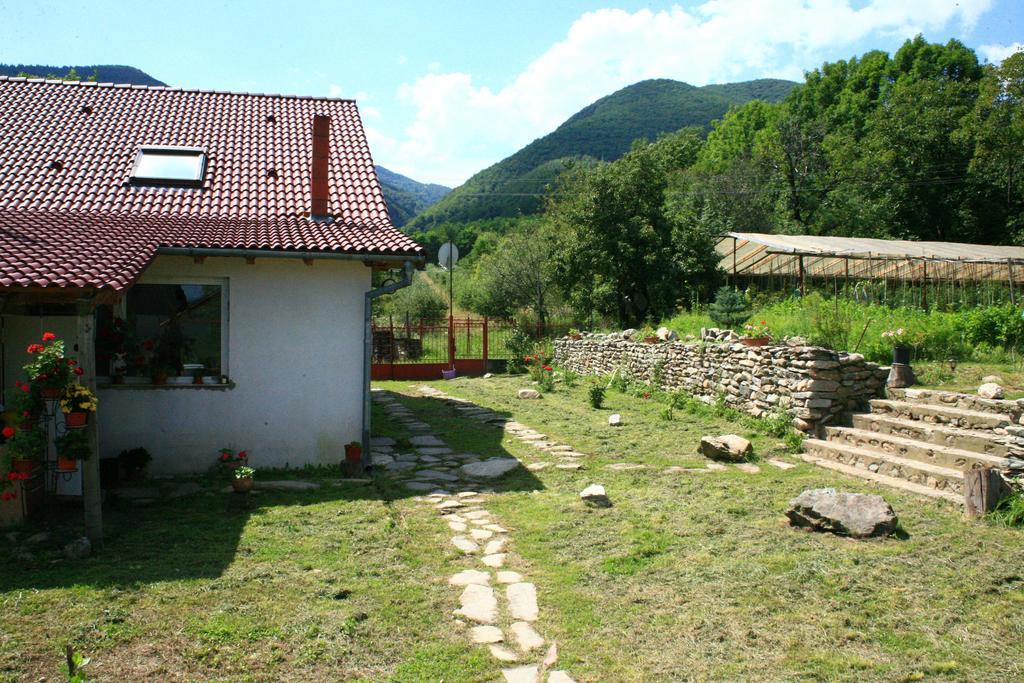 Cuibul Salamandrelor Ξενοδοχείο Sarmizegetusa Εξωτερικό φωτογραφία